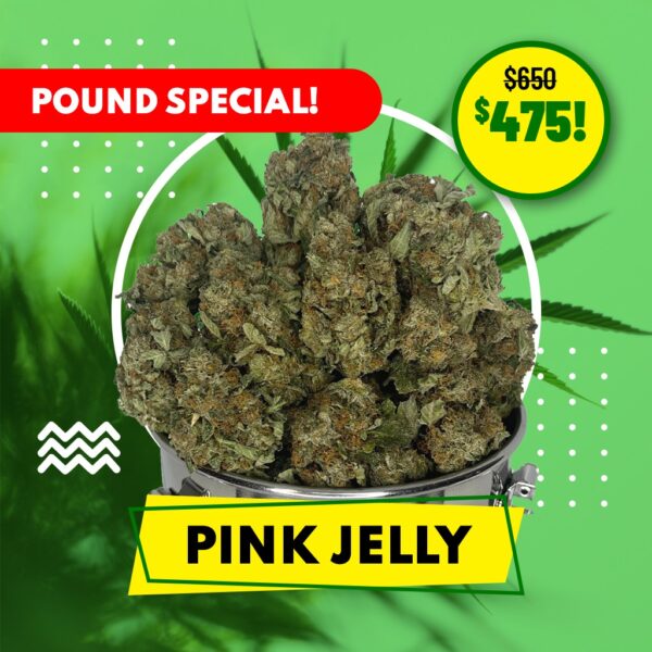 POUND SPECIAL - PINK JELLY (AAA)