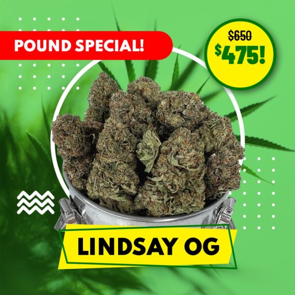 POUND SPECIAL - LINDSAY OG