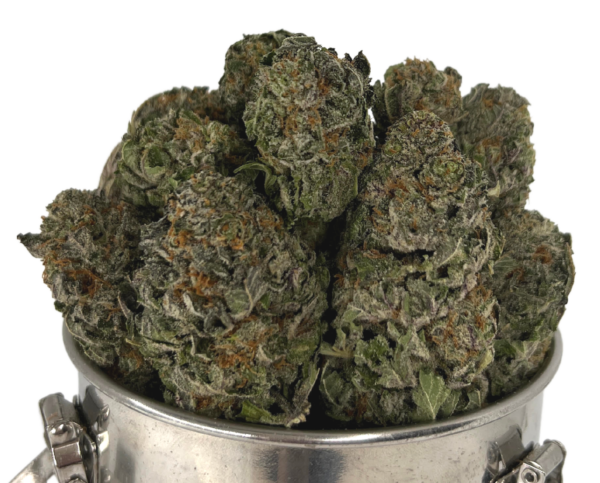 MANGO TRAINWRECK (AAA)