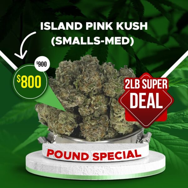2x POUND SPECIAL - ISLAND PINK KUSH (SMALLS - MEDIUM)