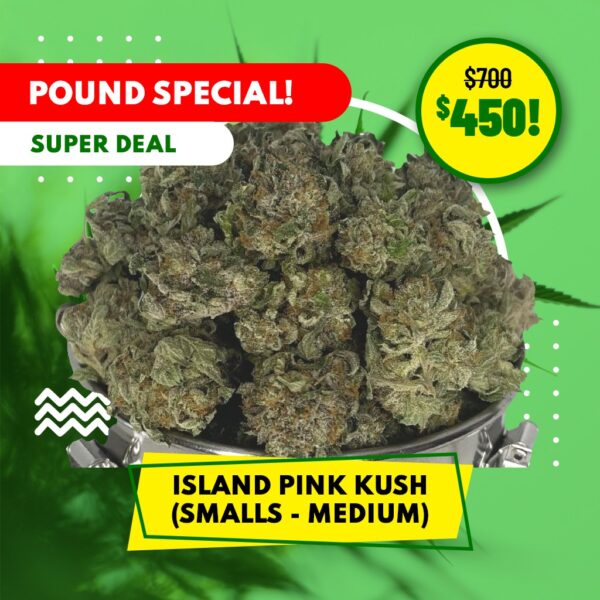 POUND SPECIAL - ISLAND PINK KUSH (SMALLS - MEDIUM)