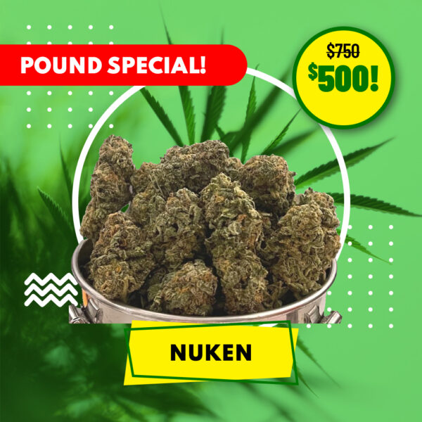 POUND SPECIAL - NUKEN