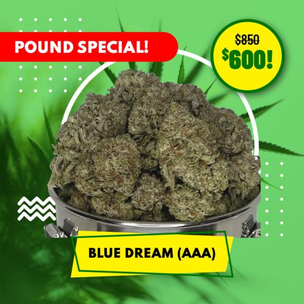 POUND SPECIAL - BLUE DREAM (AAA)