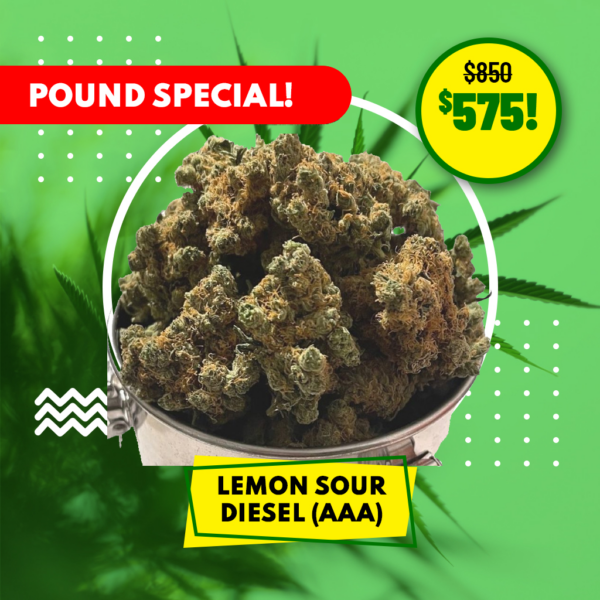 POUND SPECIAL - LEMON SOUR DIESEL (AAA)