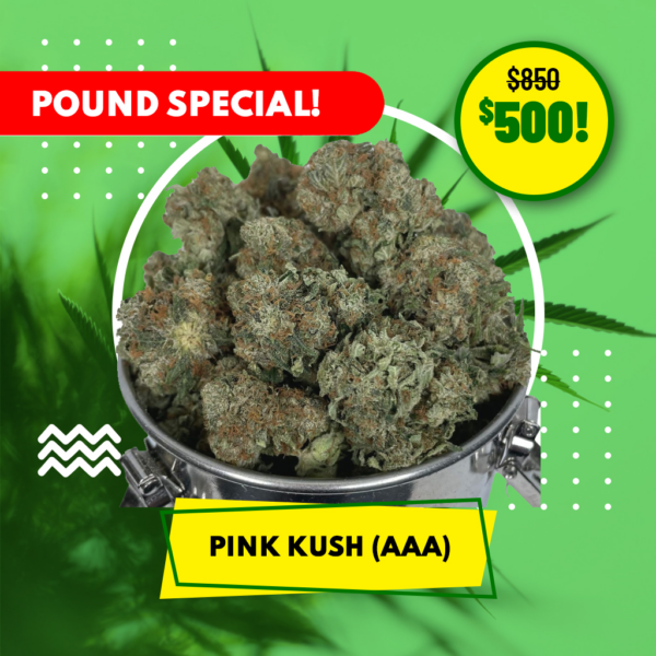 POUND SPECIAL - PINK KUSH (AAA)