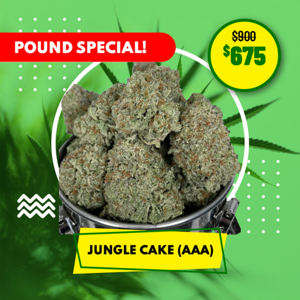 POUND SPECIAL - JUNGLE CAKE (AAA)