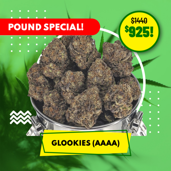 POUND SPECIAL - GLOOKIES (AAAA)