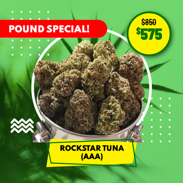 POUND SPECIAL - ROCKSTAR TUNA (AAA)