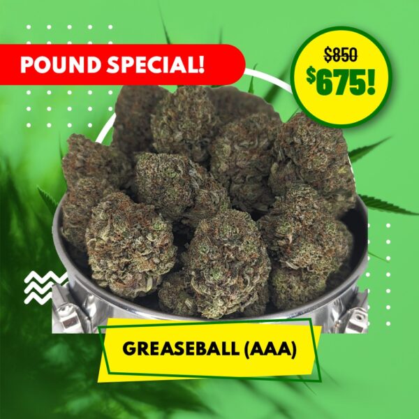 POUND SPECIAL - GREASEBALL (AAA)