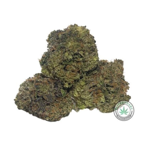 LINDSAY OG (AAAA)