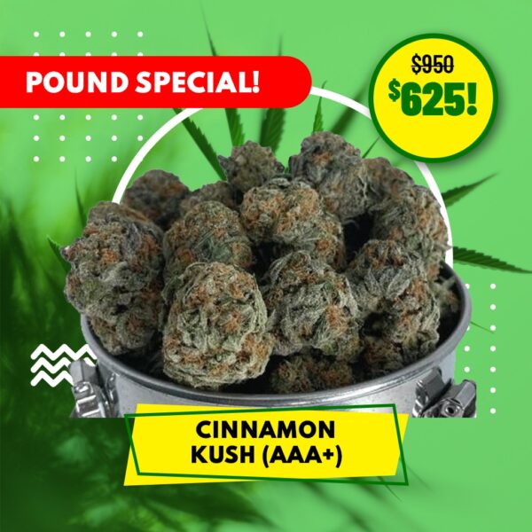 POUND SPECIAL - CINNAMON KUSH (AAA+)
