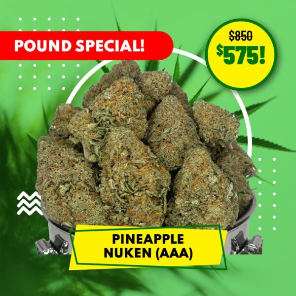 POUND SPECIAL - PINEAPPLE NUKEN (AAA)