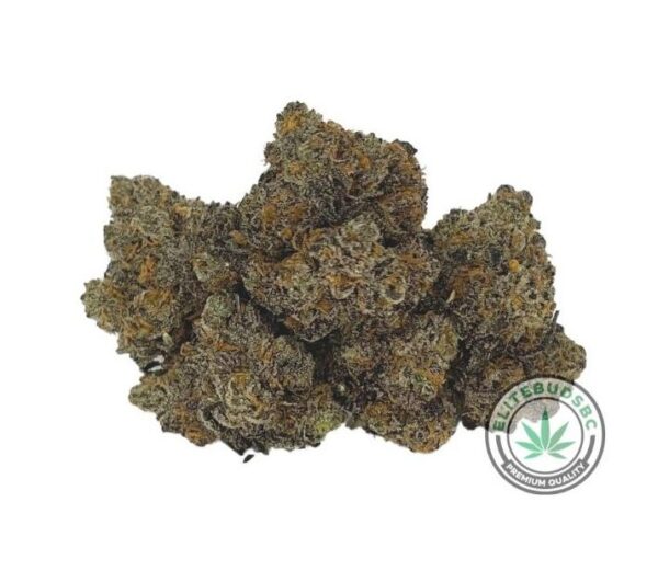 PEANUT BUTTER ROCKSTAR (AAAA)