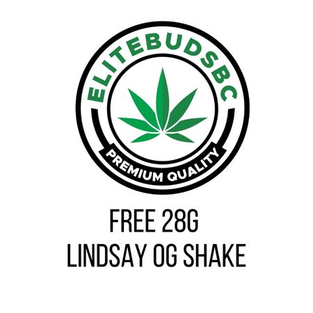 FREE LINDSAY (AAA) SHAKE 28G