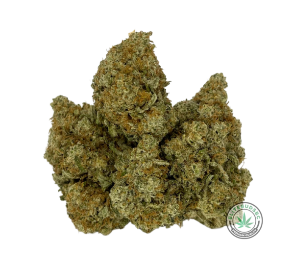 CANDYLAND (AAAA)