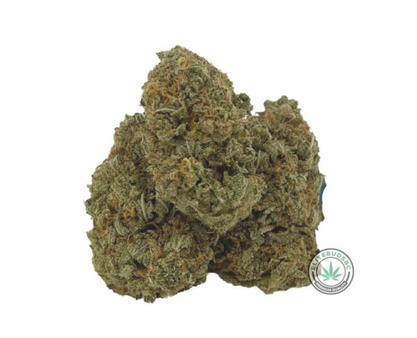 CANDYLAND (AAAA)
