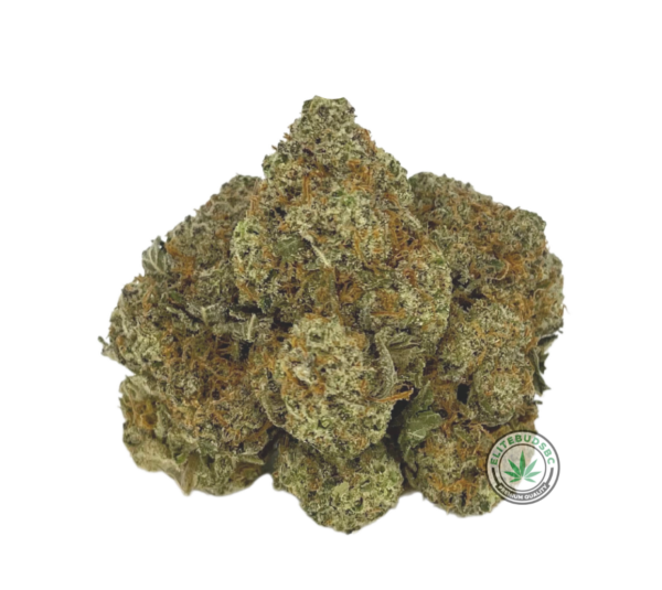 CANDYLAND (AAAA)