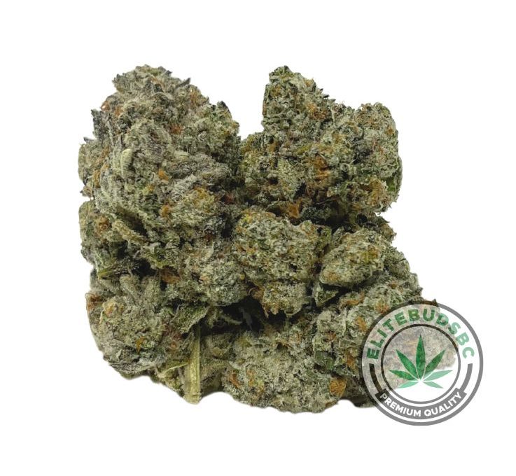 BUTTER SCOTCH (AAAA+)