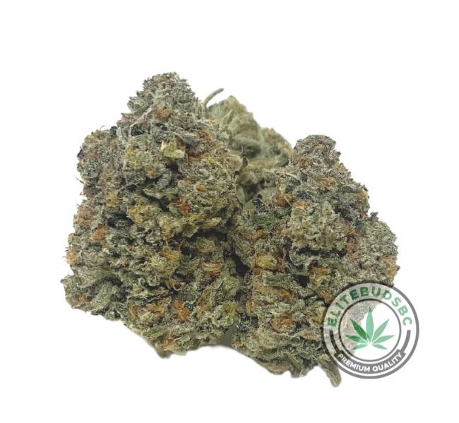 PEANUT BUTTER GELATO (AAAA+)