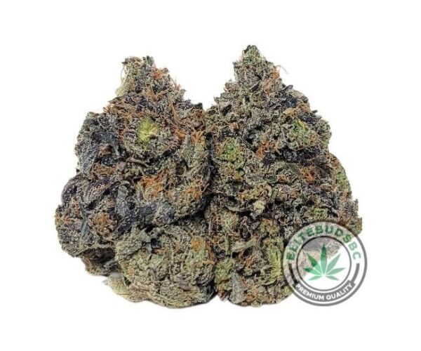 POUND SPECIAL - WHITE WALKER (AAAA) - Image 2
