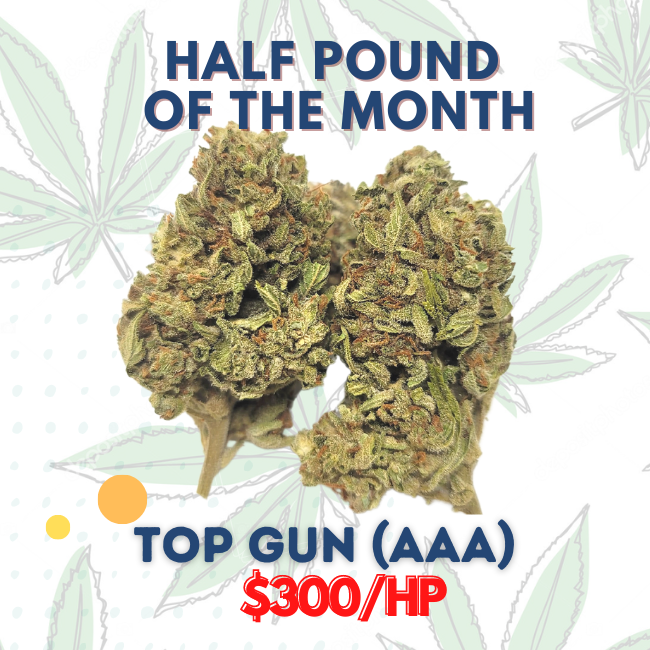 TOP GUN (AAA) Strain