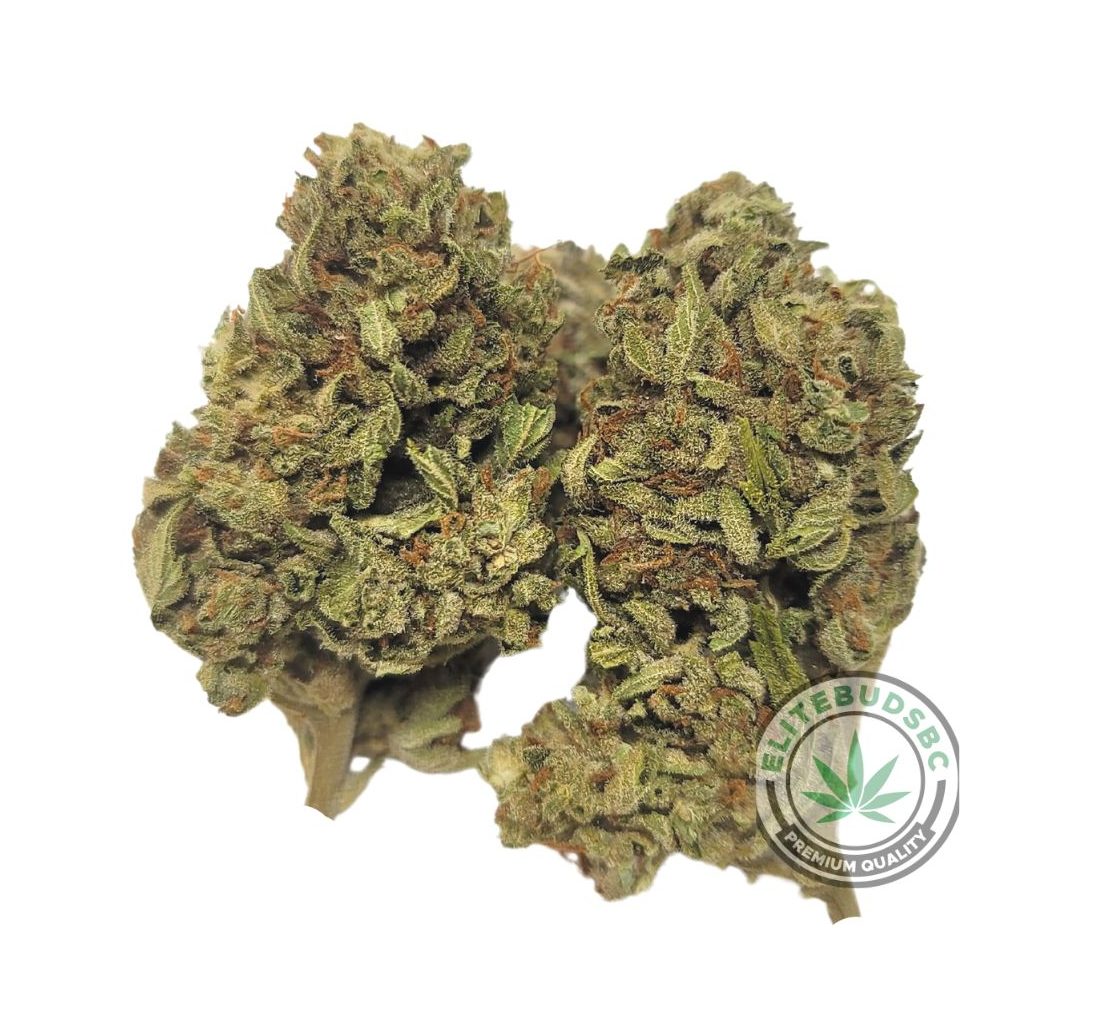 TOP GUN (AAA) Strain