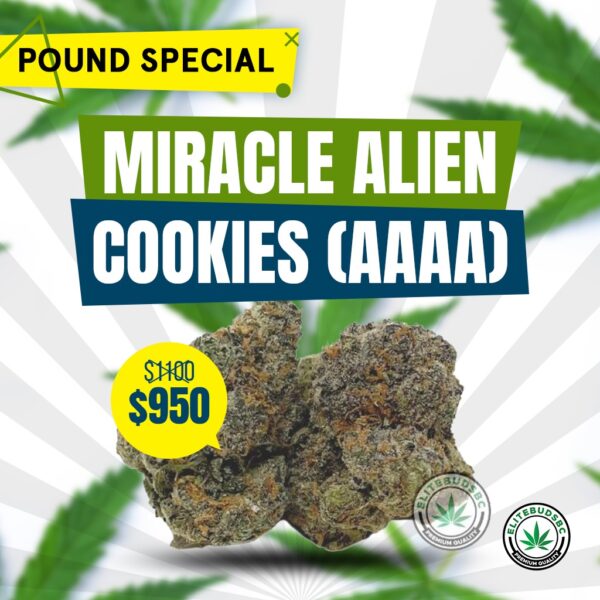 POUND SPECIAL - MIRACLE ALIEN COOKIES (AAAA)