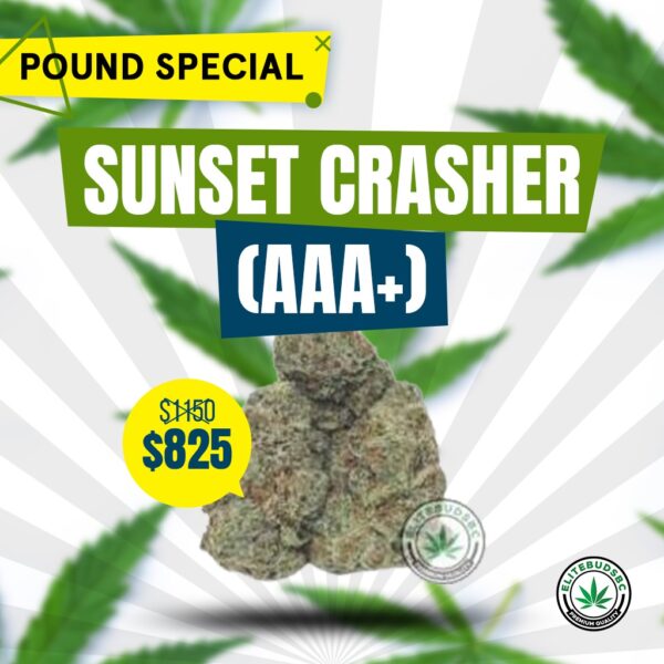 POUND SPECIAL - SUNSET CRASHER (AAA+)