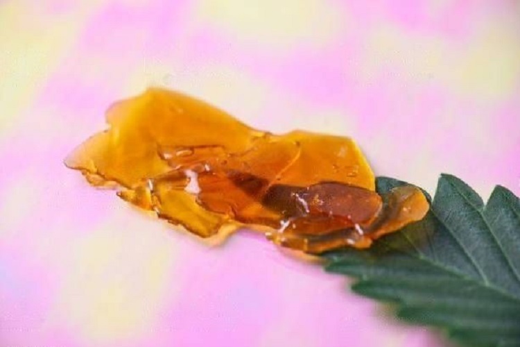 cannabis concentrates