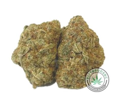 Chocolope OG (AAA)