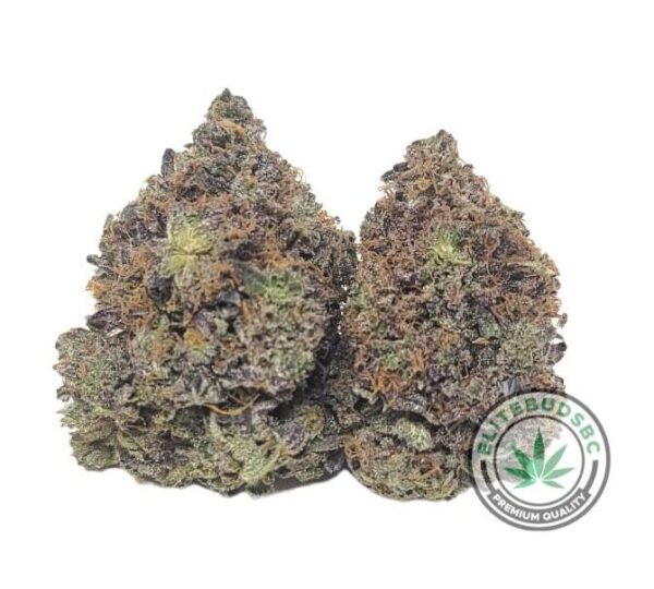 POUND SPECIAL - GREASE MONKEY (AAAA)