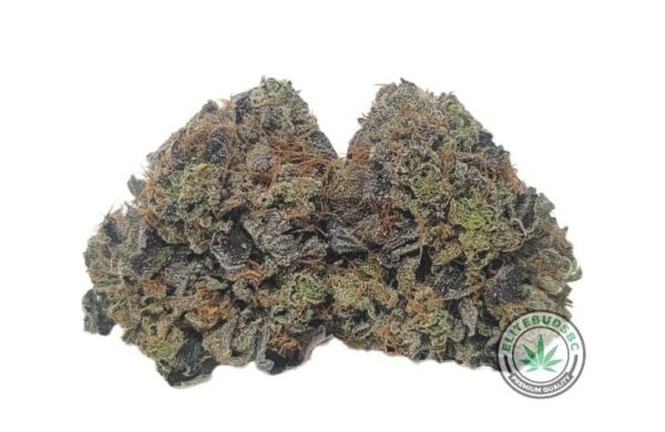 PINK BUBBA (AAAA)
