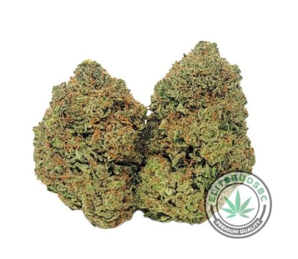 DEATH BUBBA