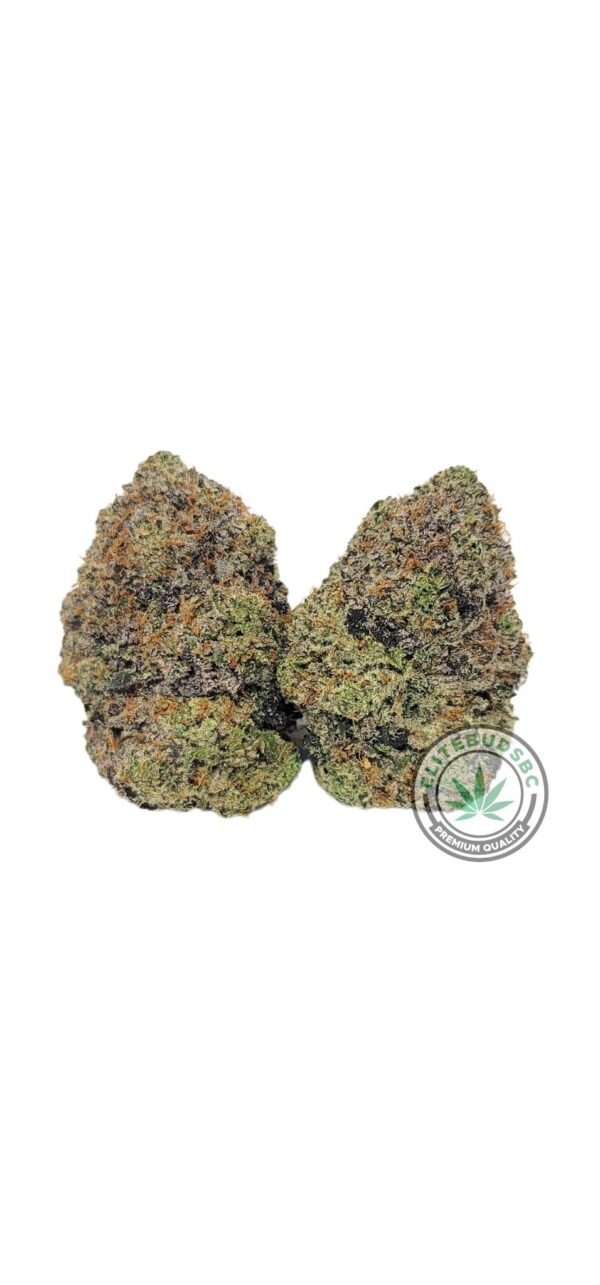 GREASE MONKEY (AAAA) (Copy)