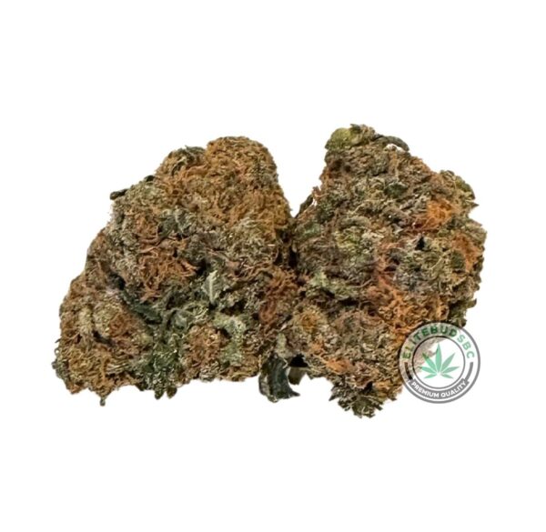 GREASE MONKEY (AAA+)
