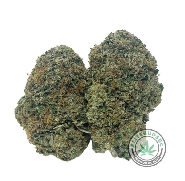END OF SUMMER HP DEAL - TOM FORD PINK KUSH (AAA+)