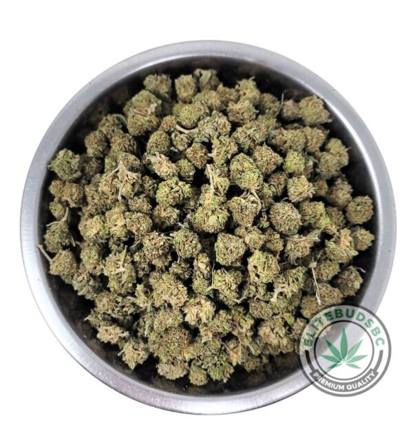 MASTER KUSH POPCORN (AAA+)