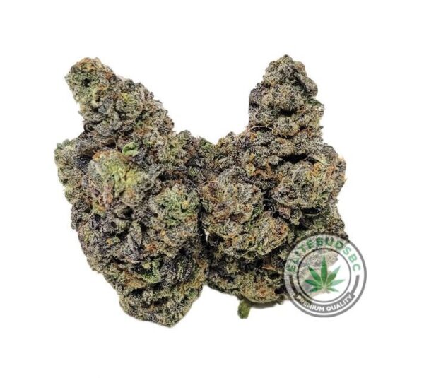 POUND SPECIAL - 9LB HAMMER (AAAA)