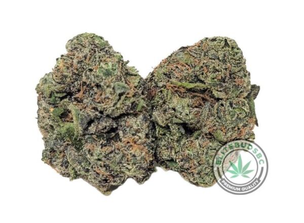 PLATINUM BLACKBERRY (AAA)