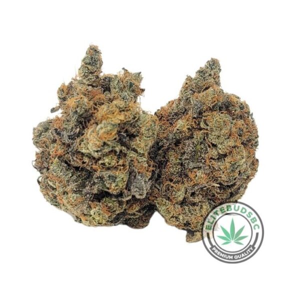 POUND SPECIAL - WHITE WIDOW (AAAA)