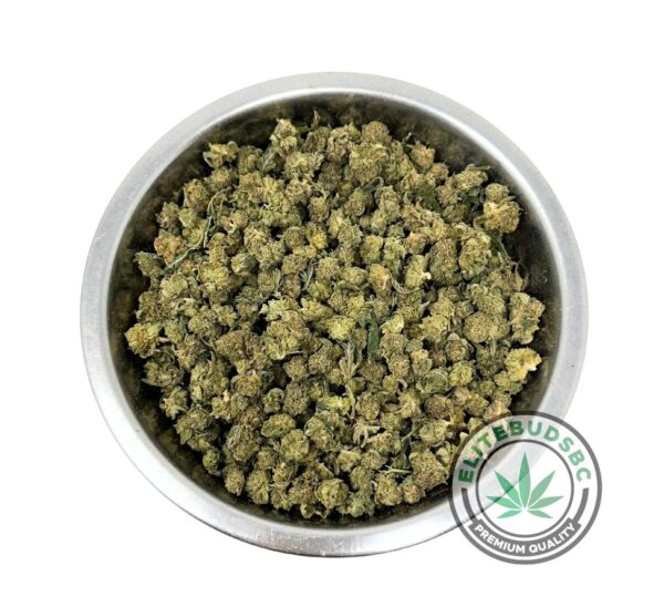 SUMMER QP DEAL - ICE CREAM CAKE (AAA) POPCORN