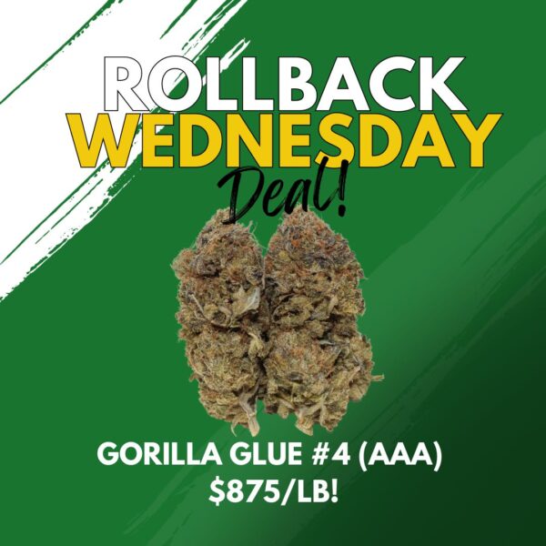 ROLLBACK WEDS DEAL - GORILLA GLUE #4 (AAA)