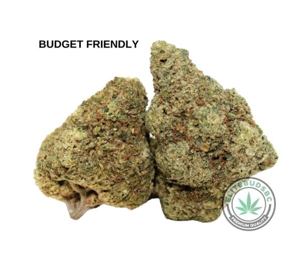 BUDGET FRIENDLY - COOKIE KUSH