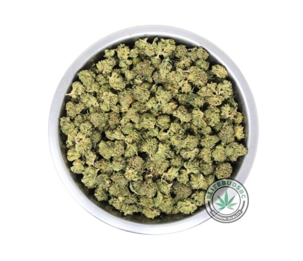 HINDU KUSH (AAAA) POPCORN
