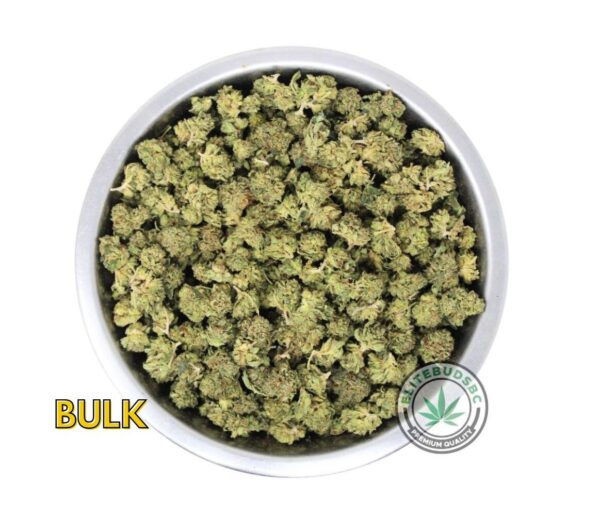POUND SPECIAL - HINDU KUSH (AAAA) POPCORN