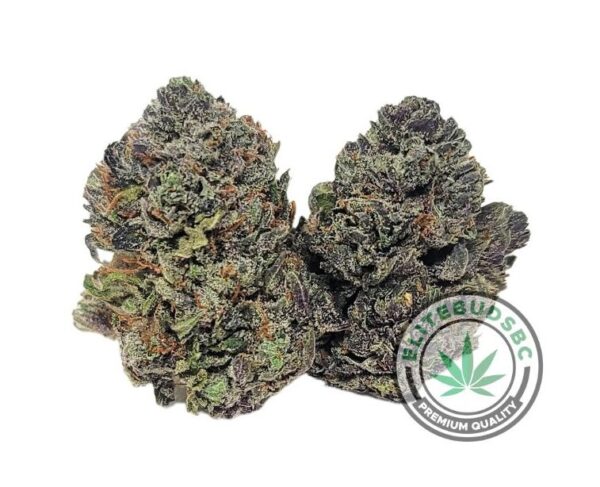 GRAND DADDY PURPLE (AAAA)