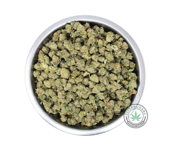 MOTORBREATH (AAAA) POPCORN