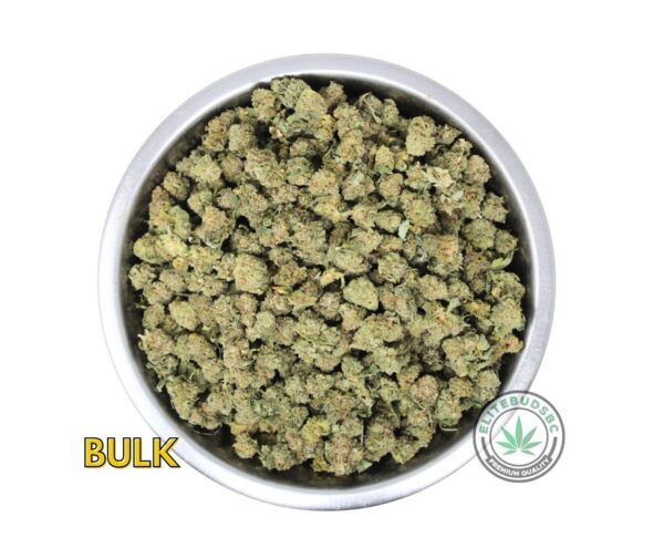 POUND SPECIAL - MOTORBREATH (AAAA) POPCORN