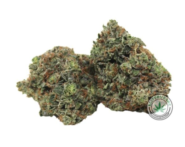 BUBBA KINGS (AAAA)