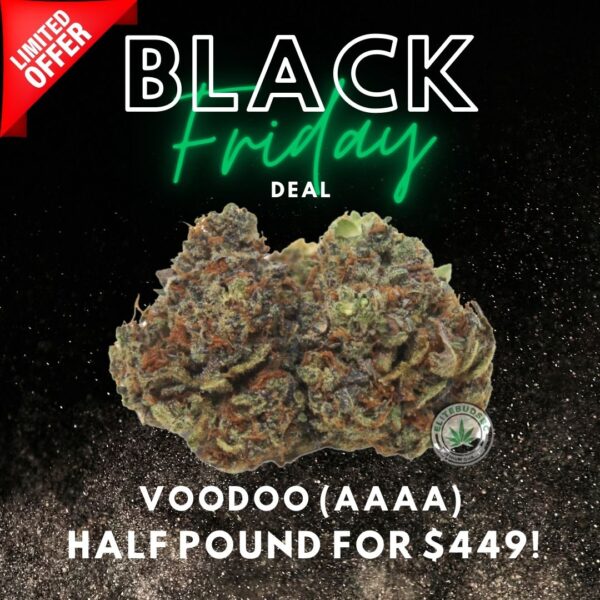 BLACK FRIDAY DEAL - VOODOO (AAAA) HP